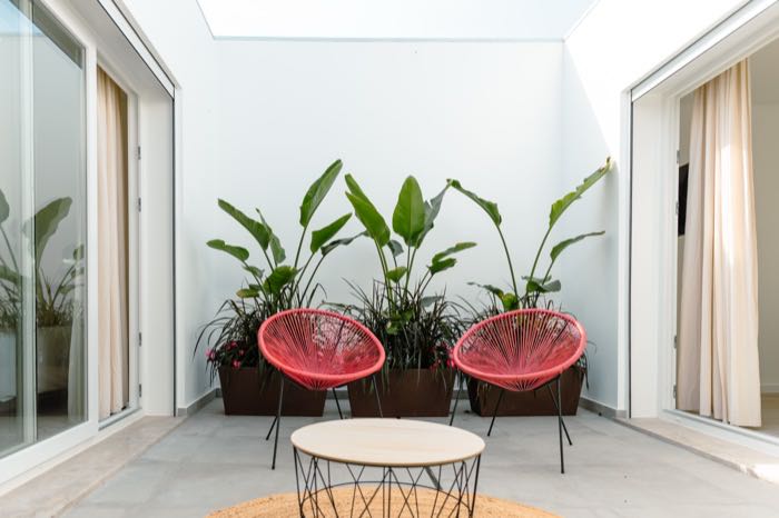 Interior courtyard with plants