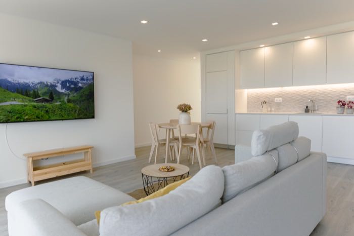 Open-plan living room and kitchen