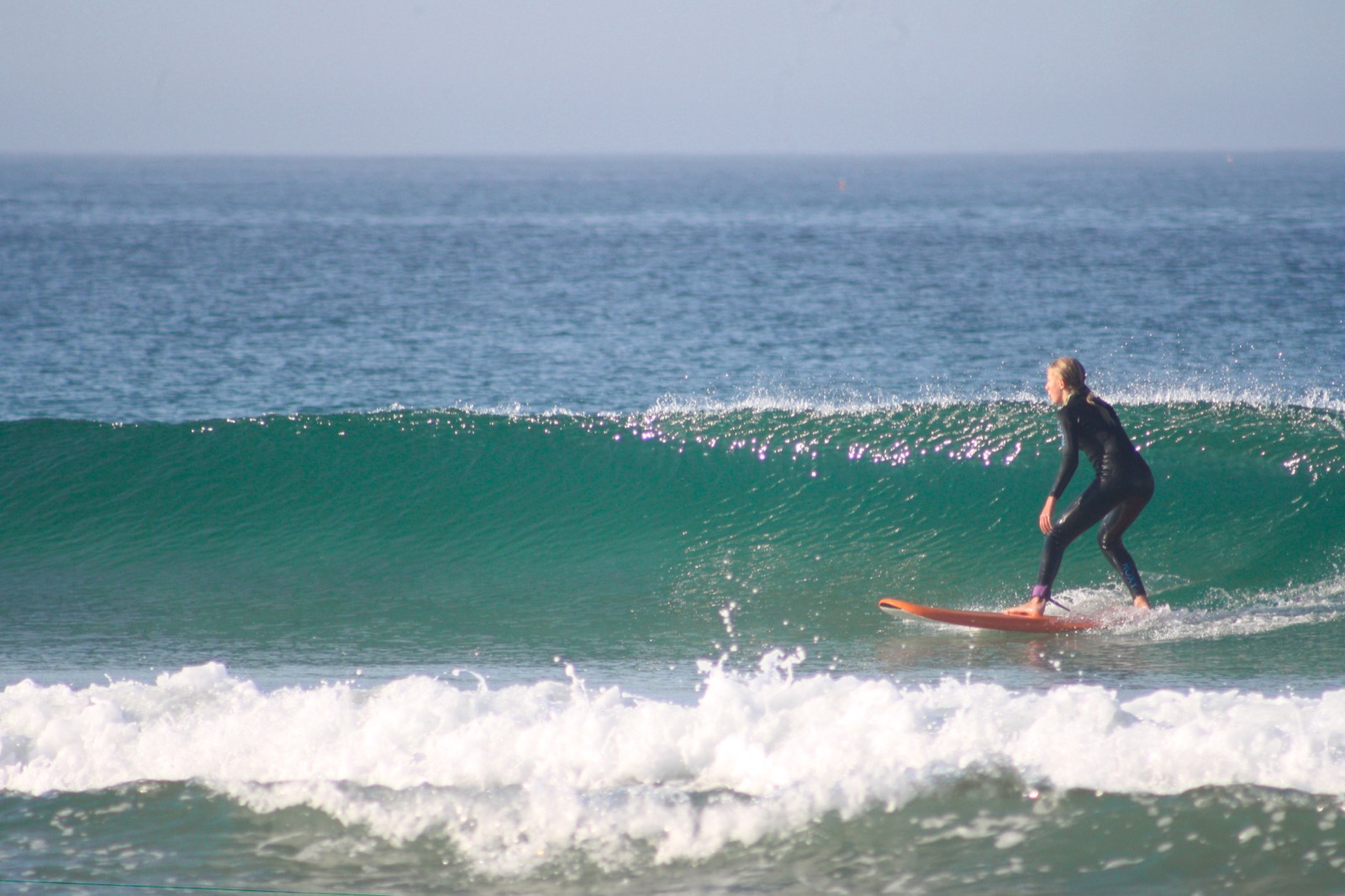 A clean green wave peeling perfectly under autumn light