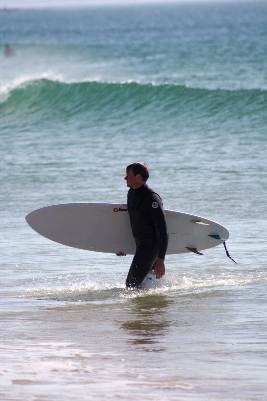 A surfer carrying a longboard along the shoreline